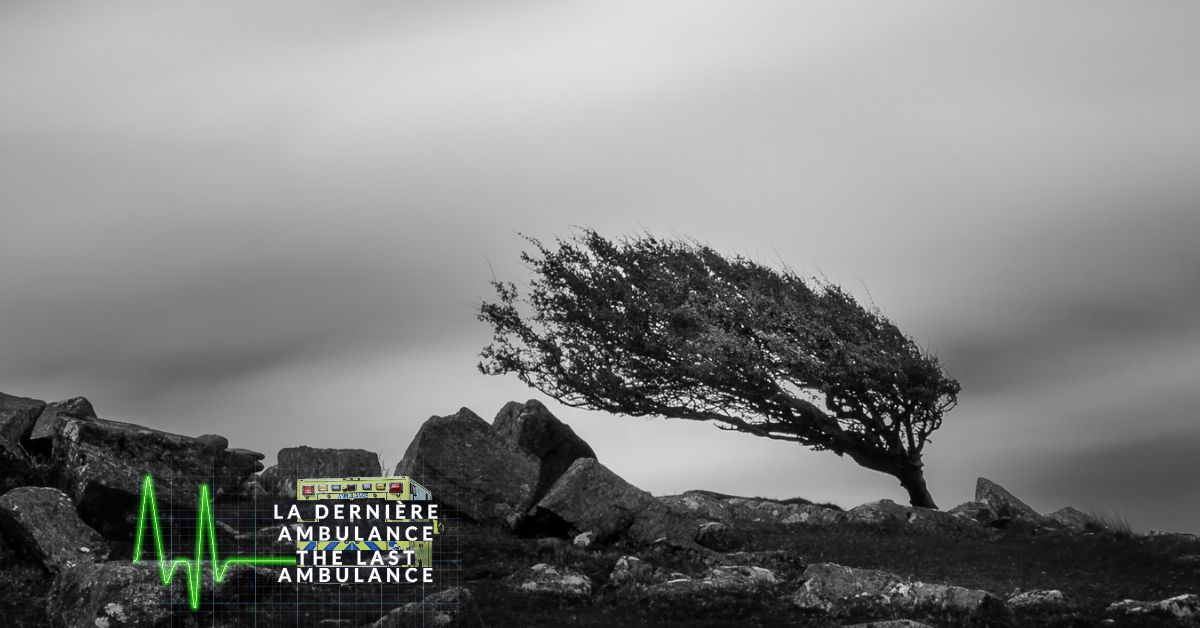Résilience en declin