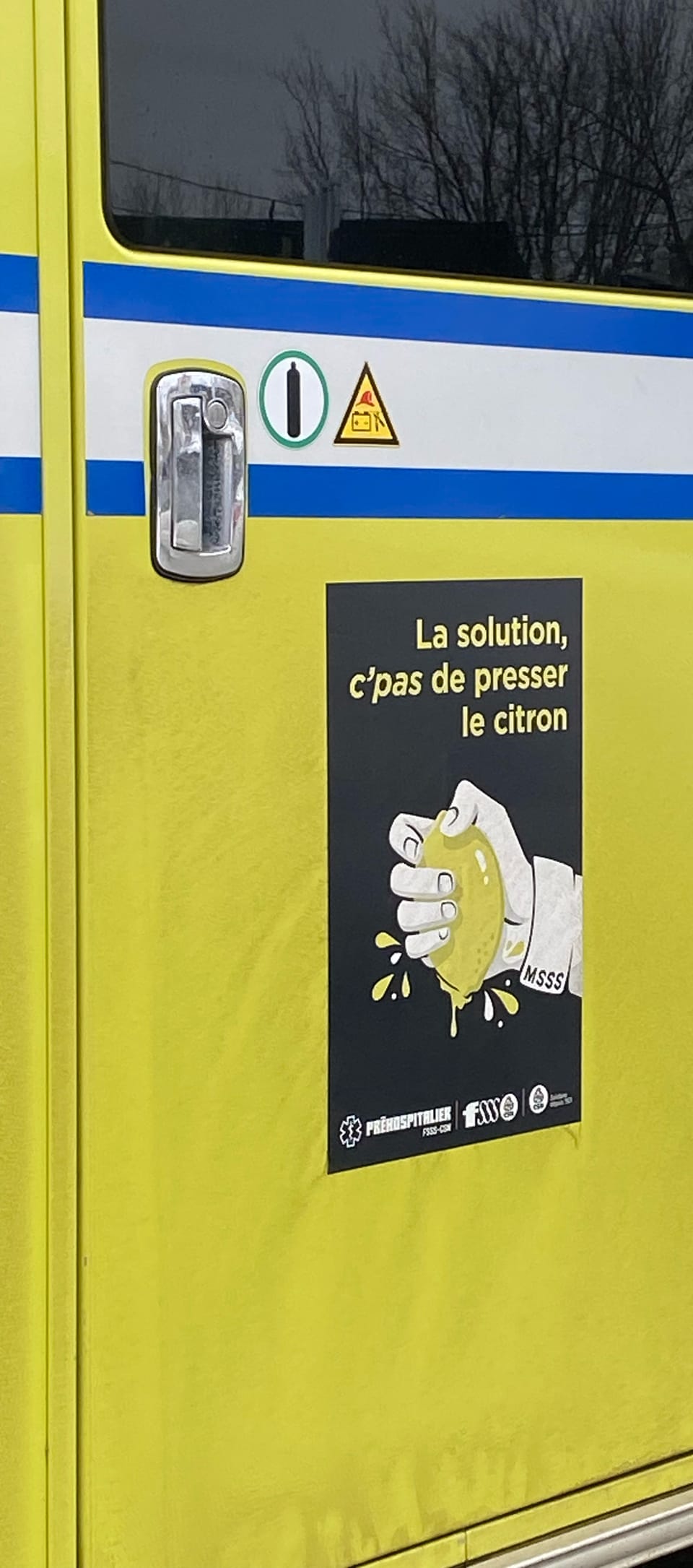 Le citron